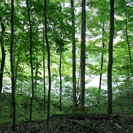 Secluded Luxury Camping Tent On Otter Lake Near Girard, Illinois-2